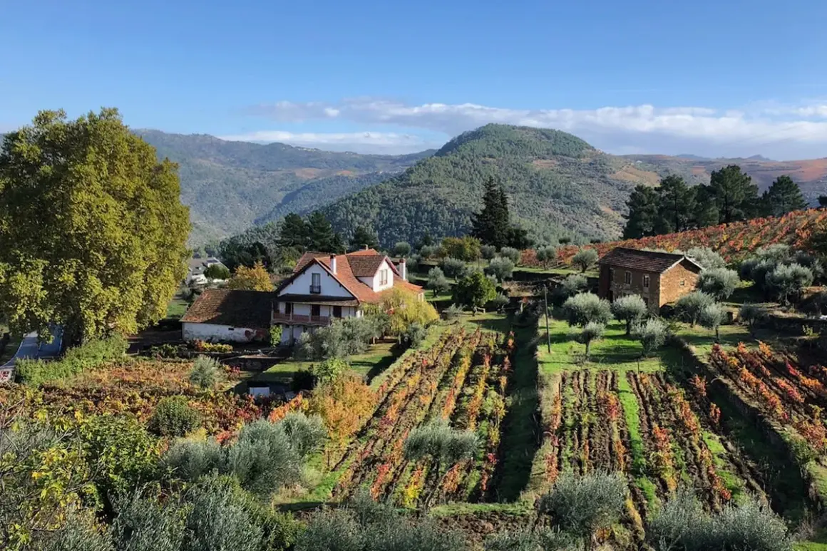Casas rurales rodeadas de viñedos y olivos en otoño, con colinas verdes al fondo, en la región de Braganza, Portugal.