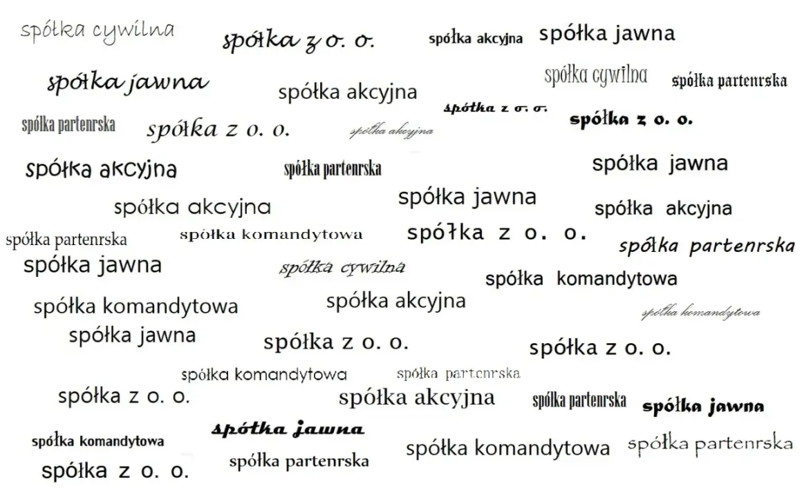 Różne rodzaje spółek: spółka jawna, akcyjna, z o.o., komandytowa, cywilna, partnerska.