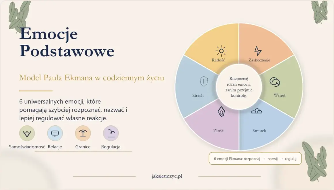 Model Ekmana: 6 podstawowych emocji (radość, zaskoczenie, wstręt, złość, smutek, strach) i ich rola w psychologii emocjonalnej. Rozpoznaj, nazwij, reguluj.