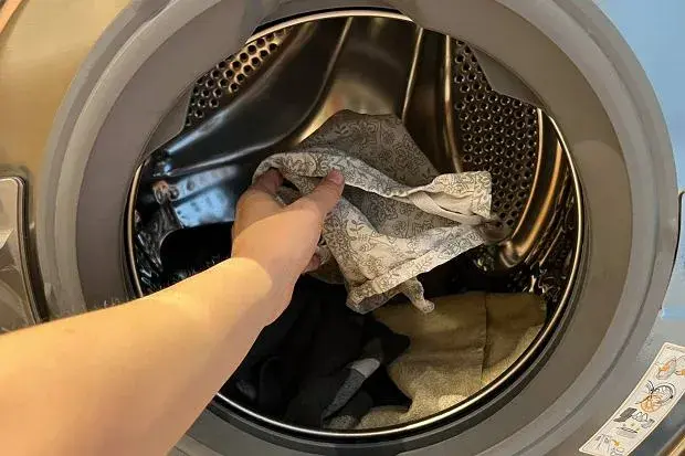 Jak usunąć sierść z ubrań i pralki? Skuteczne sposoby