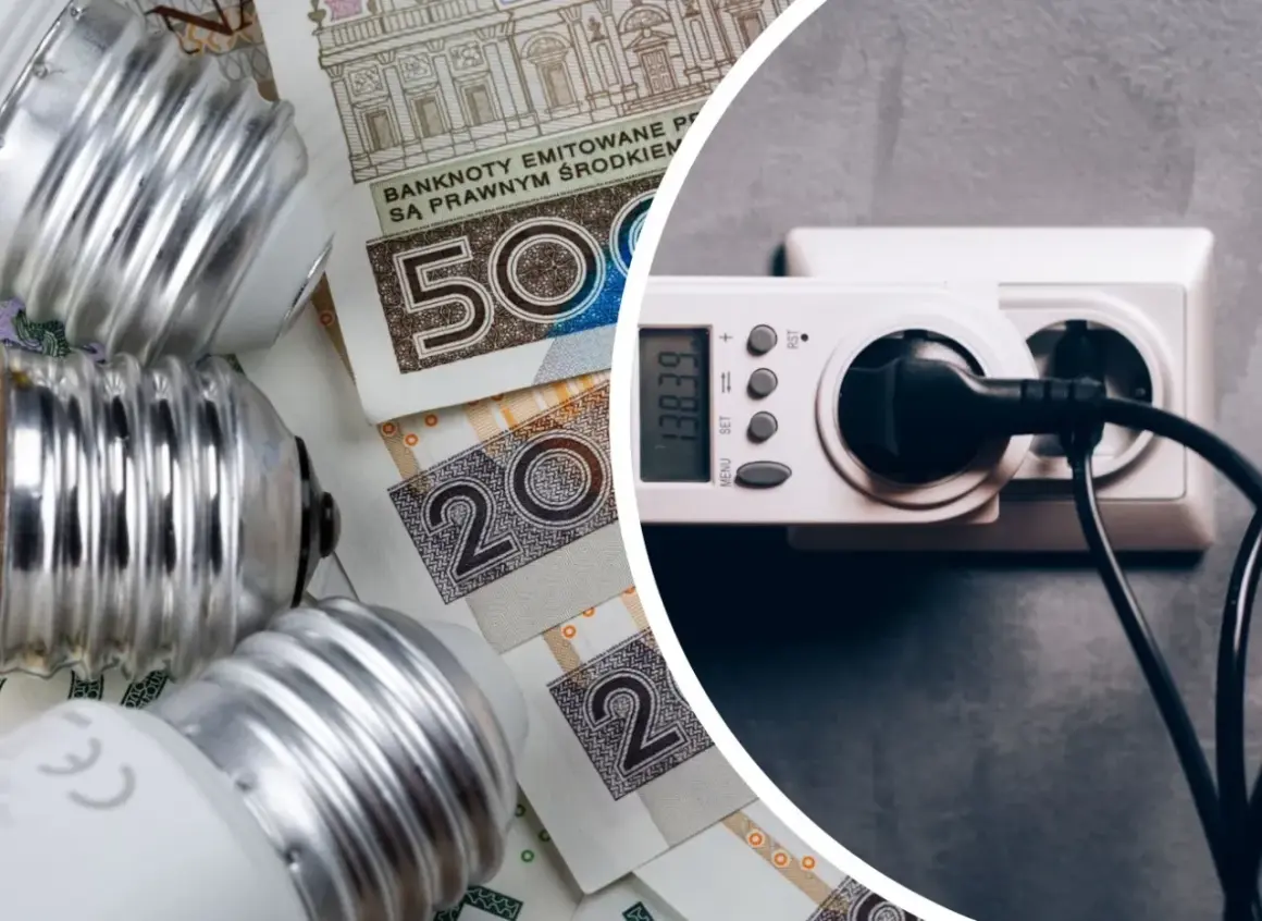 Żarówki i polskie banknoty obok licznika energii elektrycznej. Zastanawiasz się, ile kwh zużywa dom dziennie?