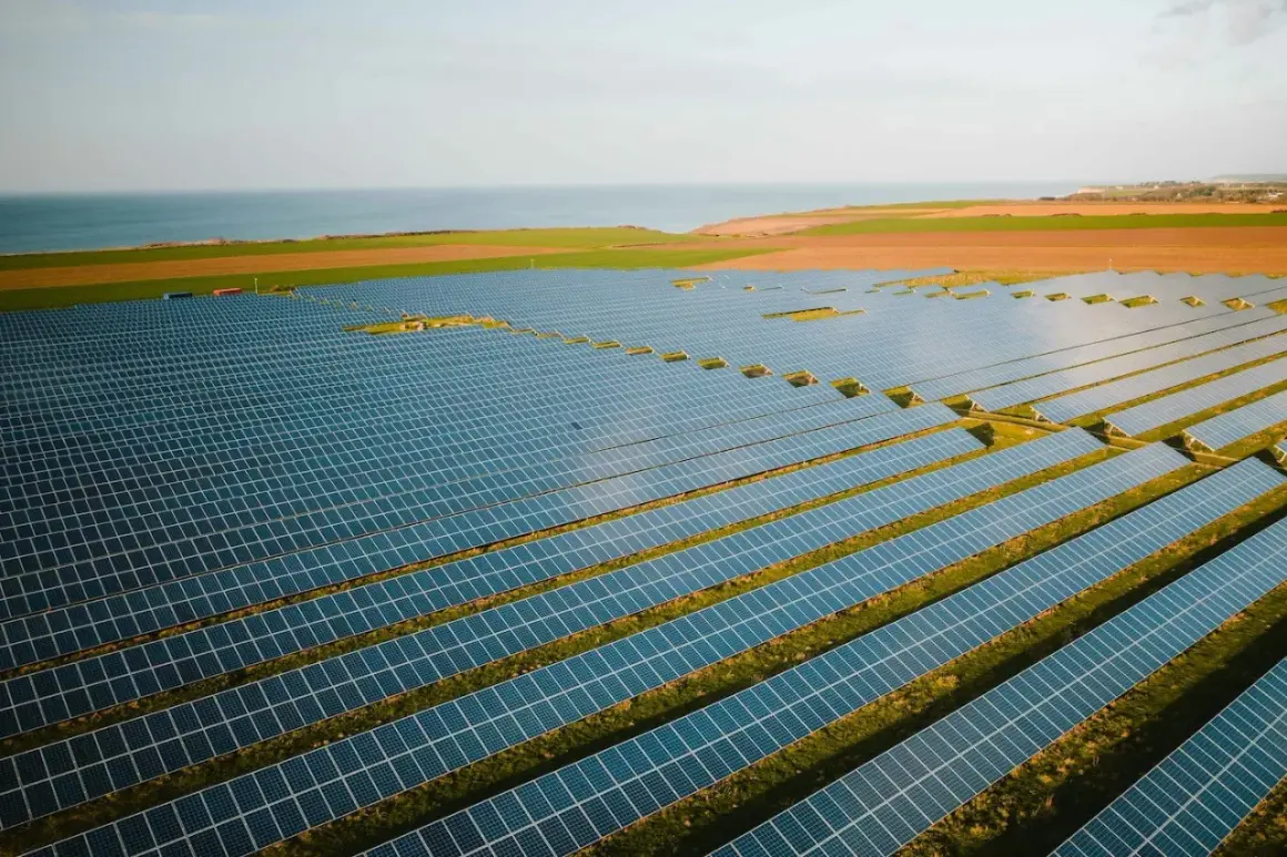 Vasta distesa di pannelli solari su un prato, con il mare all'orizzonte. La loro durata è un investimento a lungo termine per l'energia pulita.