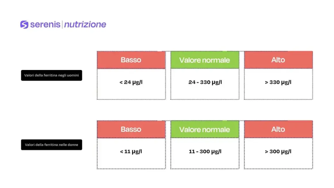Tabelle valori ferritina uomini/donne: basso, normale, alto. Attenzione al ferro alto nel sangue!