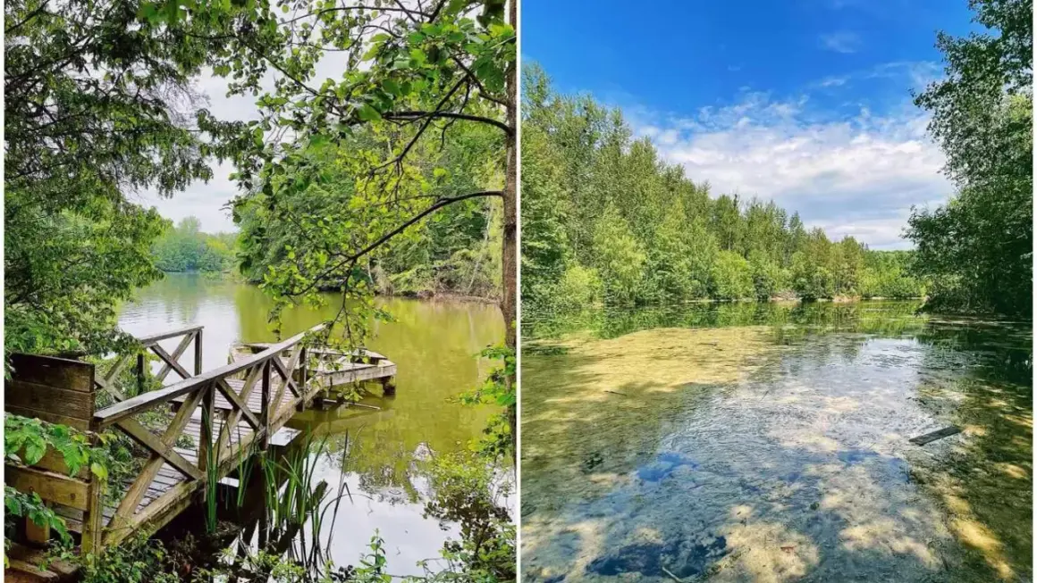 Idyllische Seenlandschaft mit Holzsteg am ASV Bensberg. Grüne Ufer und klares Wasser laden zum Verweilen ein.