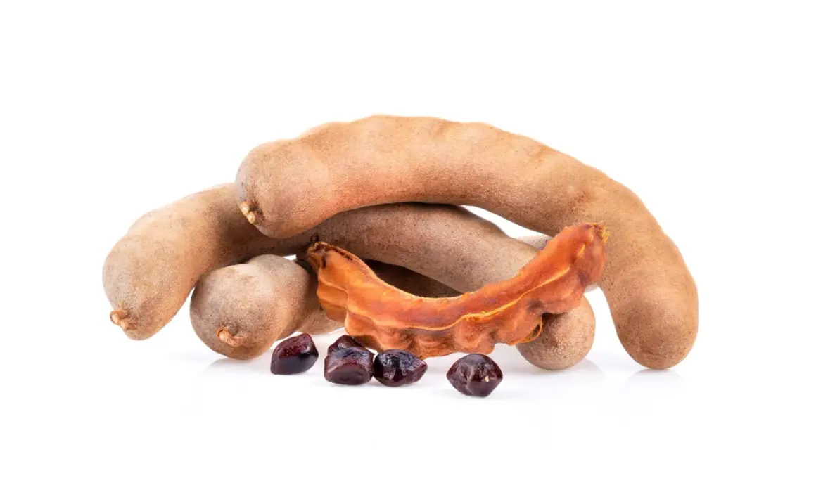 Tamarindfrukter och frön, redo för ett spännande tamarindpasta recept.
