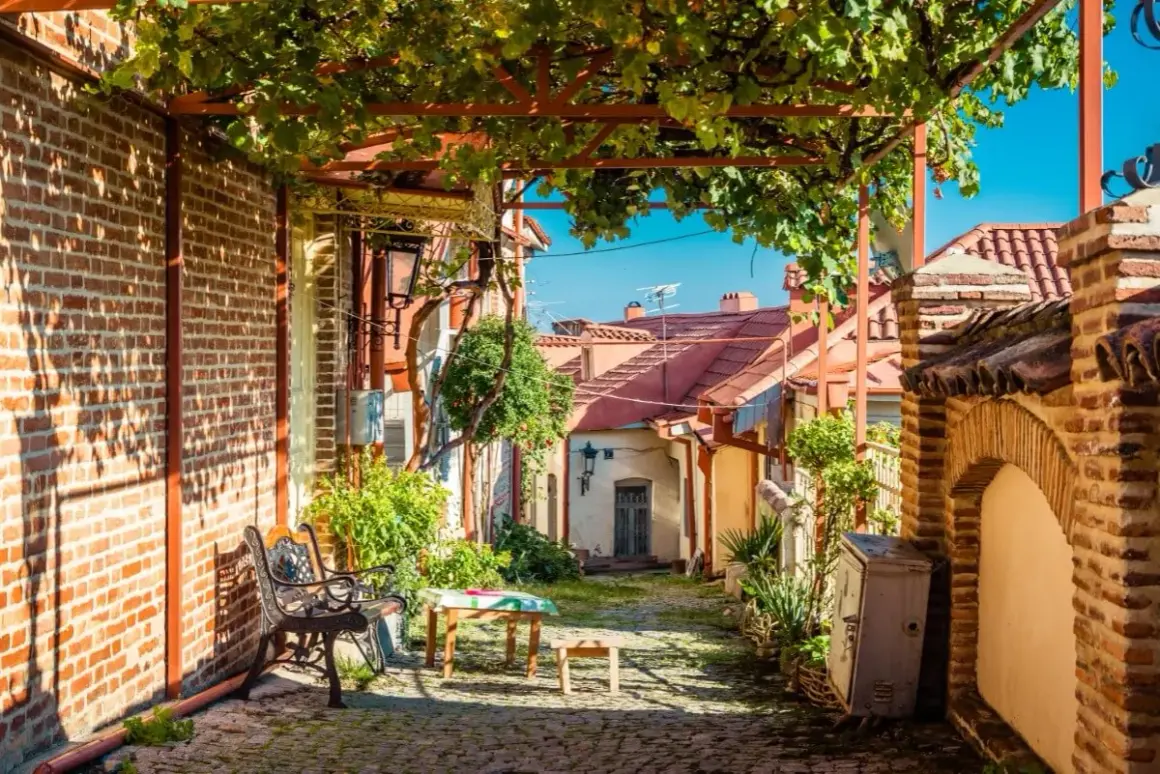 Urokliwy zaułek z winoroślą nad głową, nawiązujący do klimatu kachetia winnice. Kamienna ścieżka, ceglane mury i tradycyjna architektura.