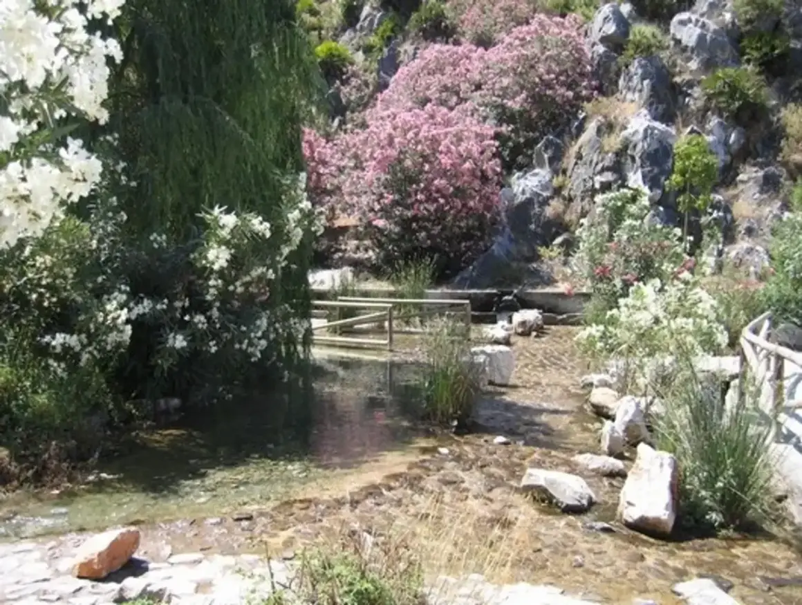 El nacimiento del río Molinos, un arroyo cristalino entre rocas y flores rosas y blancas, con un puente de madera.