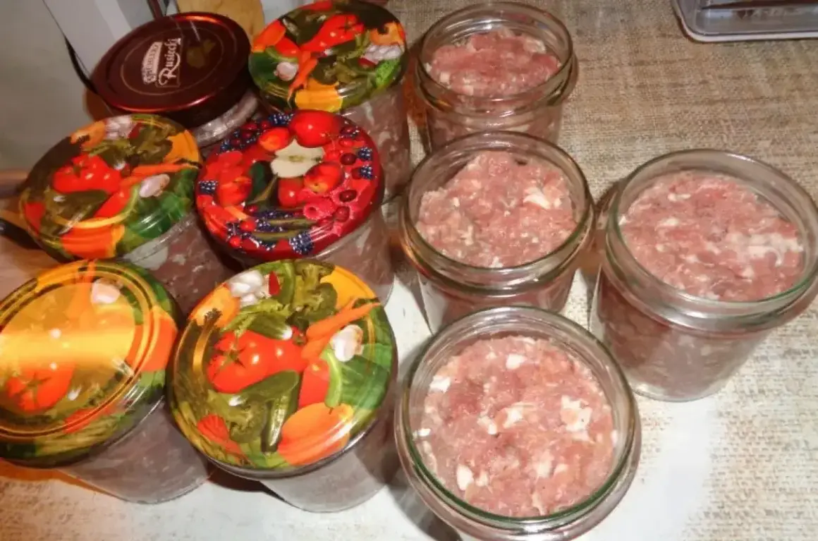 Słoiki z mielonym mięsem, gotowe do pasteryzacji. To pierwszy krok, jak zrobić kiełbasa w słoiku z galaretką.
