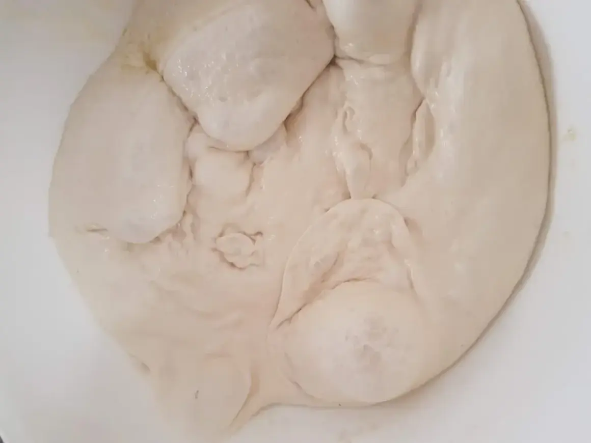 Impasto soffice in ciotola, pronto per la lievitazione in forno a 40 gradi. Quanto tempo ci vorrà?