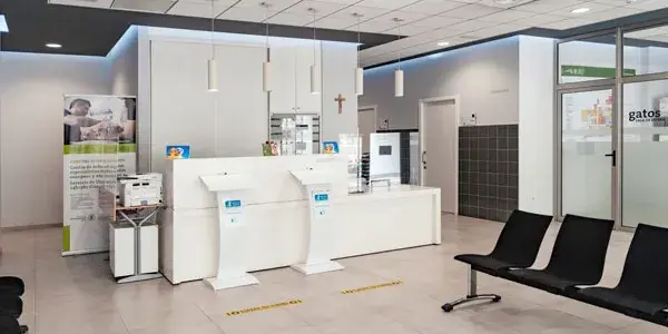 Hospital veterinario de la universidad católica de valencia: servicios y especialidades para tus mascotas
