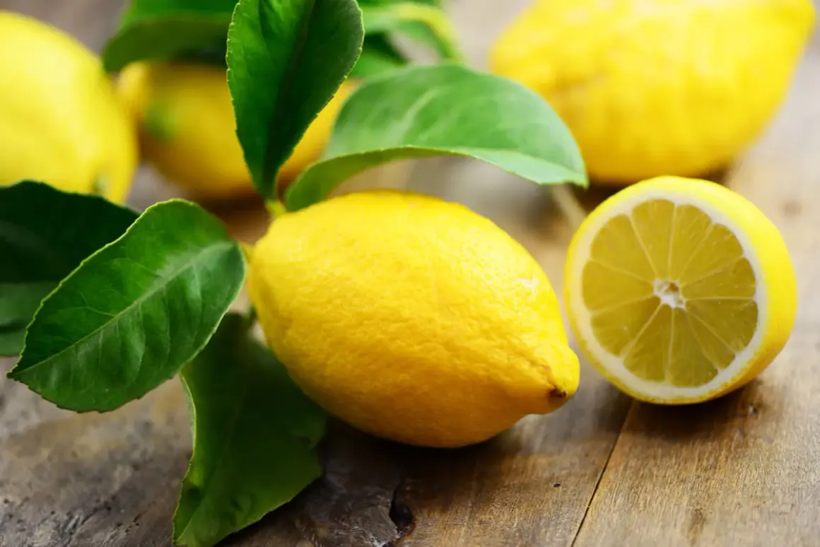 Frische Zitronen mit grünen Blättern auf Holz. Eine Zitrone ist halbiert. Interessant, wieviel Vitamin C hat eine Zitrone?