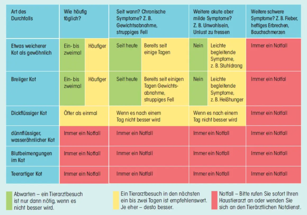 Tabelle zeigt, wann eine Katze mit Durchfall zum Tierarzt muss. Wenn die Katze hat Durchfall und stinkt, ist das ein Notfall.