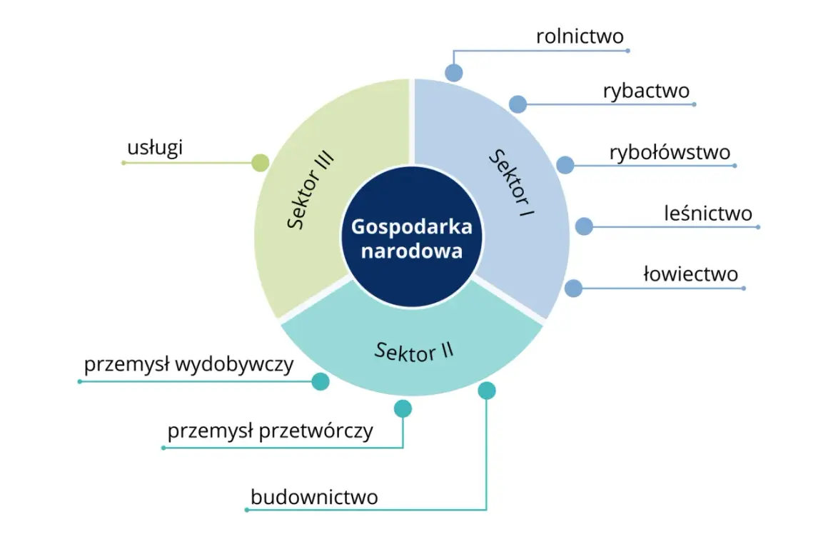 Diagram przedstawia strukturę gospodarki narodowej, dzieląc ją na Sektor I (rolnictwo, rybactwo, rybołówstwo, leśnictwo, łowiectwo), Sektor II (przemysł wydobywczy, przetwórczy, budownictwo) i Sektor III (usługi).
