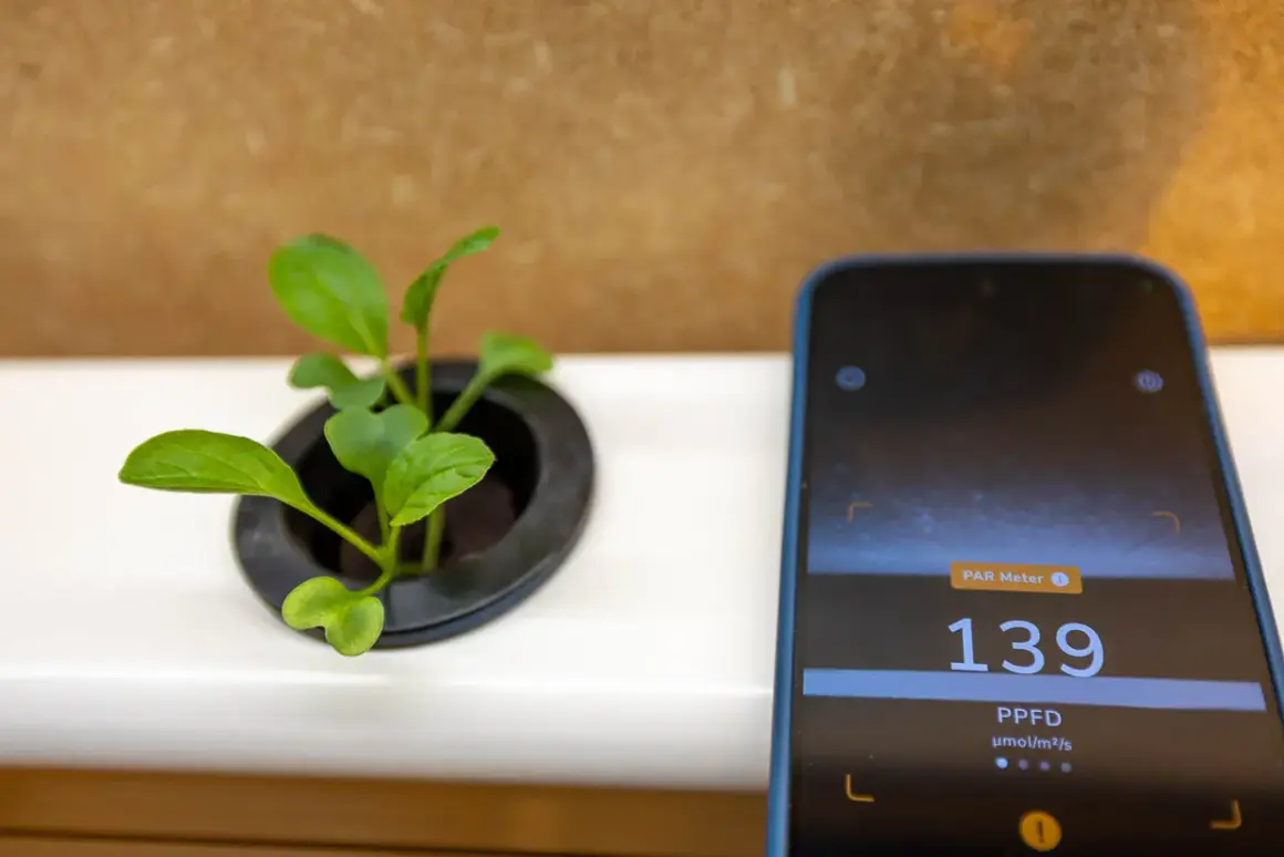 En liten planta växer i en kruka bredvid en mobil som mäter ljusintensitet. Skärmen visar 139 PPFD.