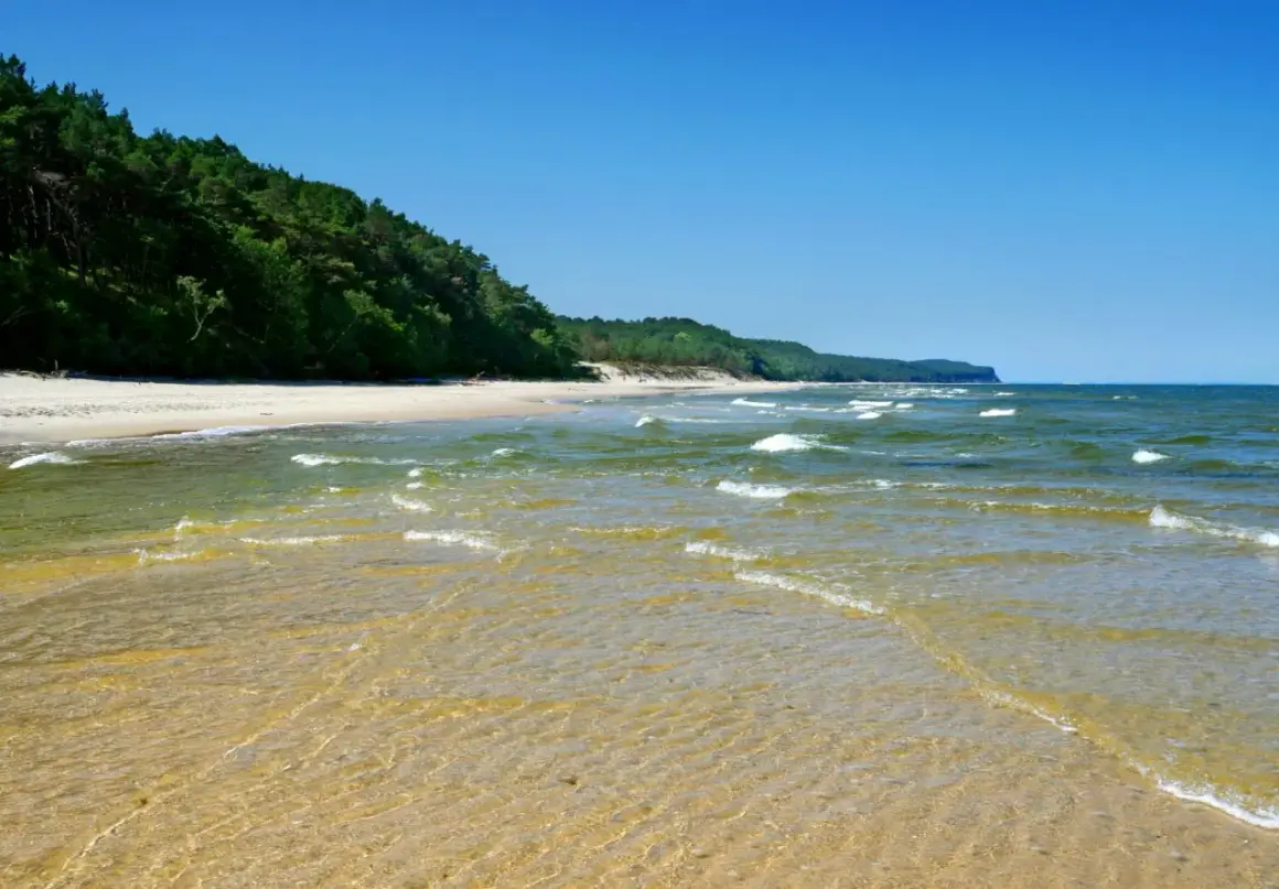 Piękne, dzikie plaże w Polsce. Spokojne fale Bałtyku obmywają piaszczysty brzeg, a las sosnowy tworzy zieloną ścianę w tle.