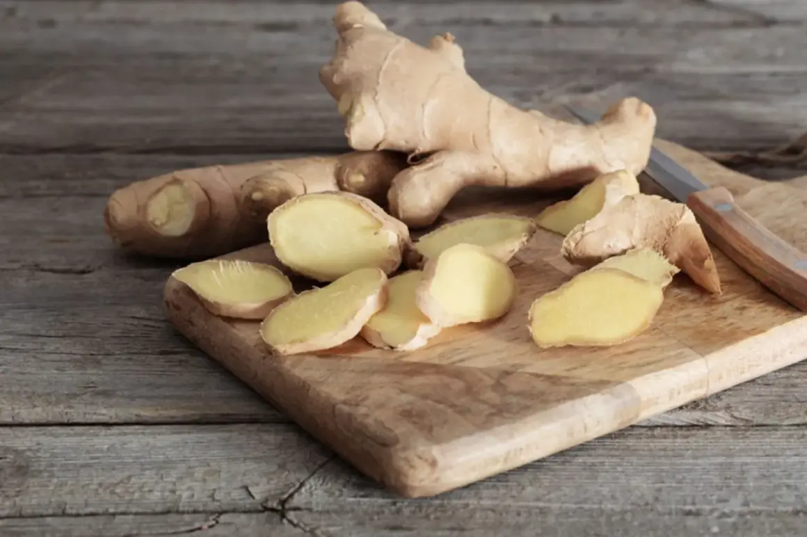 Frischer Ingwer, teils in Scheiben geschnitten, liegt auf einem Holzbrett. Der Unterschied zwischen ganzen Wurzeln und den Scheiben ist deutlich zu erkennen.