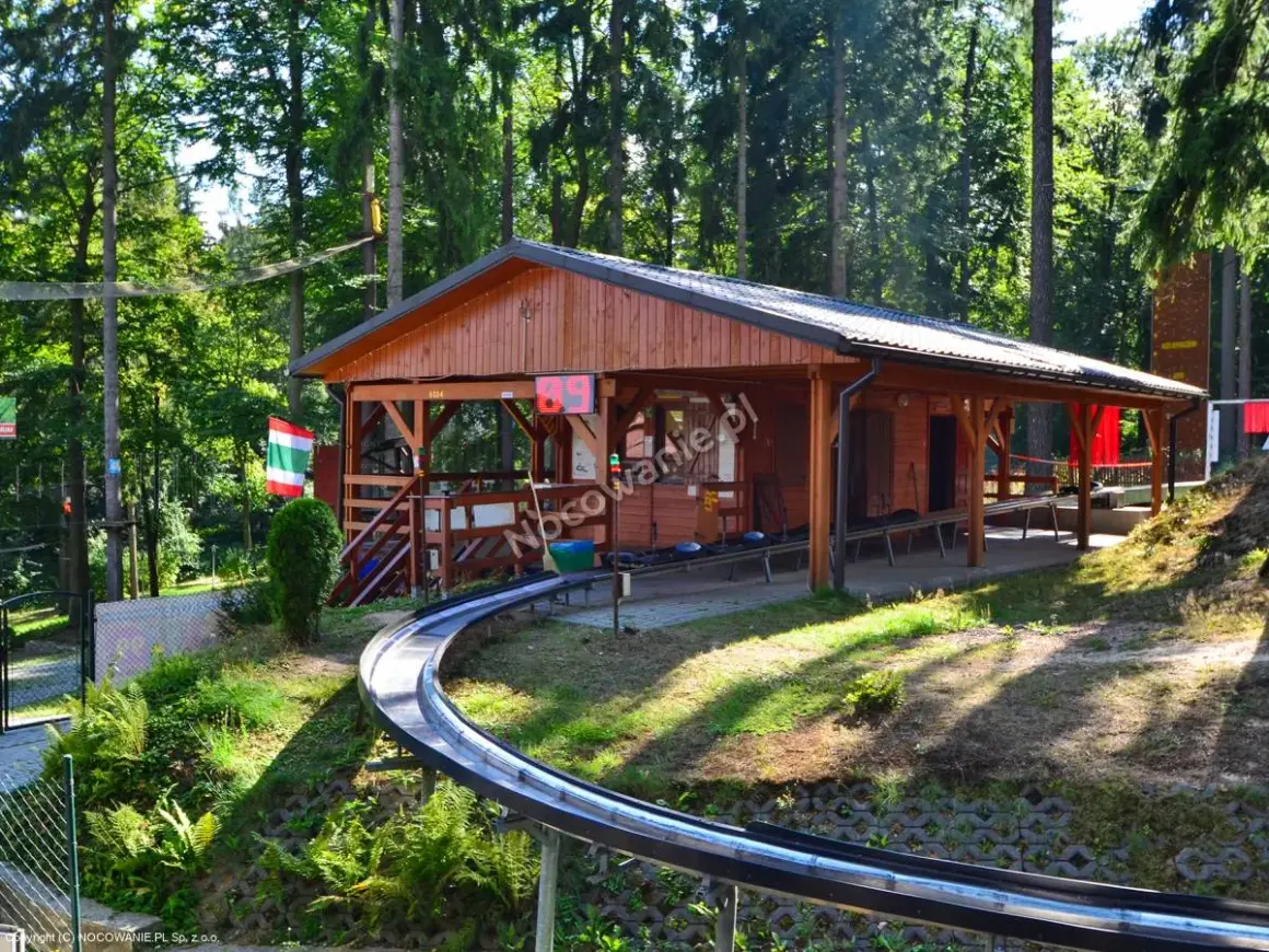 Czarodziejska Góra Jedlina-Zdrój: Park linowy dla rodzin przewodnik
