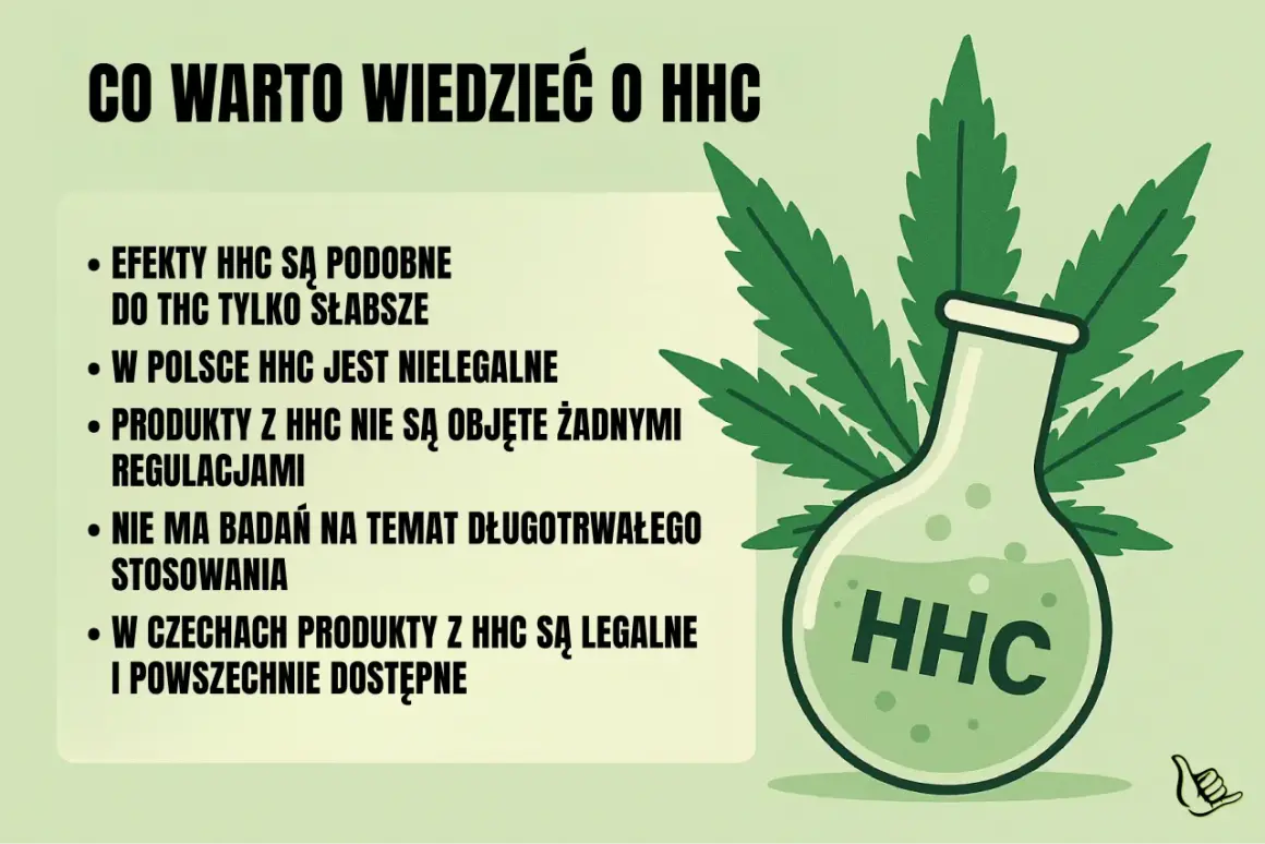 Co warto wiedzieć o HHC: efekty podobne do THC, ale słabsze. W Polsce nielegalne, produkty bez regulacji. Brak badań długoterminowych. W Czechach legalne i dostępne.