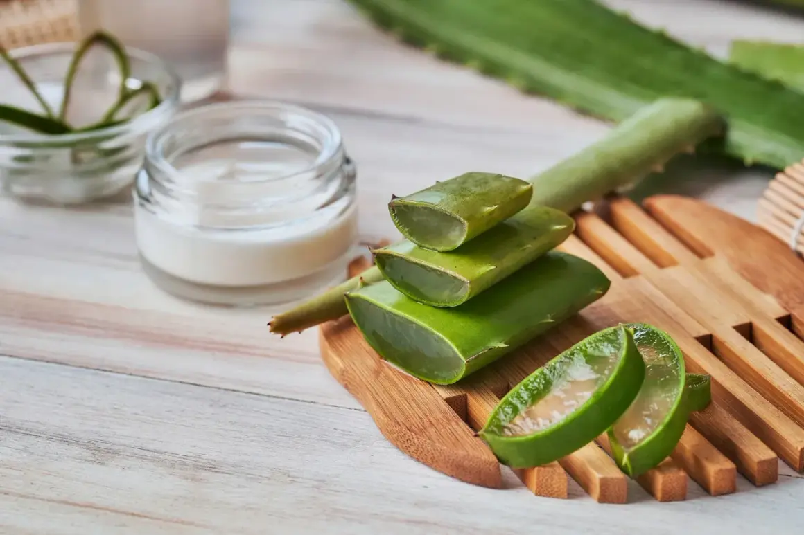 Frische Aloe Vera-Scheiben und eine Creme deuten auf die wohltuende aloe vera gel wirkung für die Haut hin.