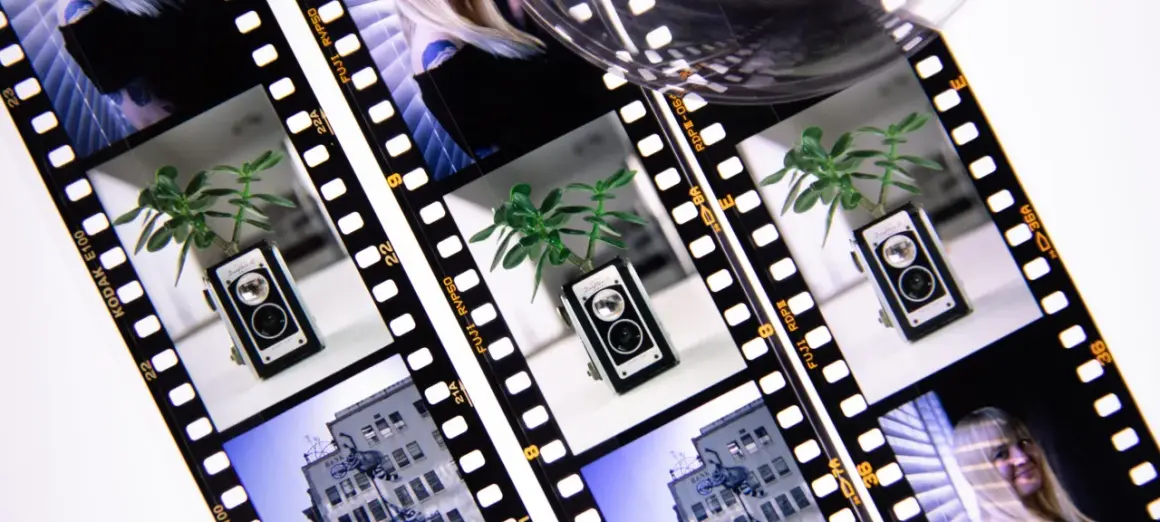 Film strips showcase a vintage camera with a plant, a building, and a woman's face, hinting at the classic ektachrome vs velvia debate.