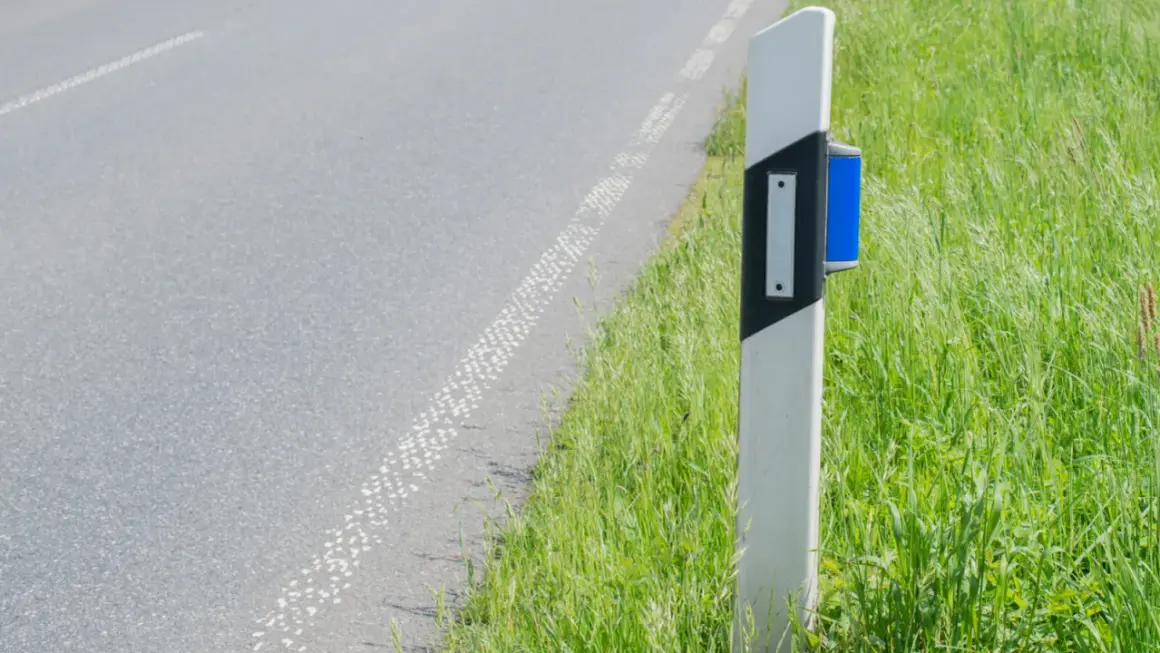 Straßenrandpfosten mit blauen Reflektoren, der die Fahrbahn und das üppige Gras daneben markiert.