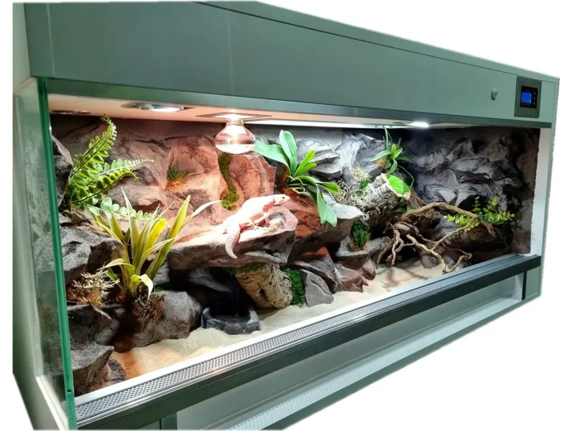Idealne terrarium dla gekona lamparciego: skalne kryjówki, rośliny i ciepło. Gekon wygrzewa się na skale.