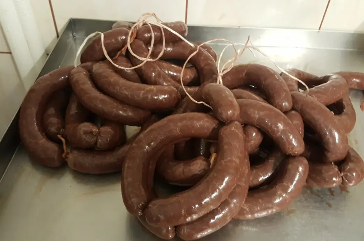 Kaszanka – przepis dziadka. Świeżo uwędzone, błyszczące kiełbaski w jelitach, związane sznurkiem, tworzą apetyczny stosik.