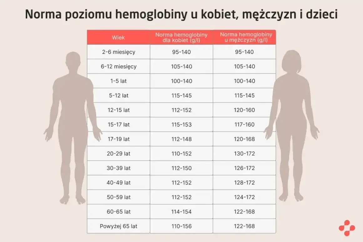 Tabela przedstawia normę hemoglobiny dla kobiet, mężczyzn i dzieci w zależności od wieku. Sprawdź, czy Twoja hemoglobina jest w normie.