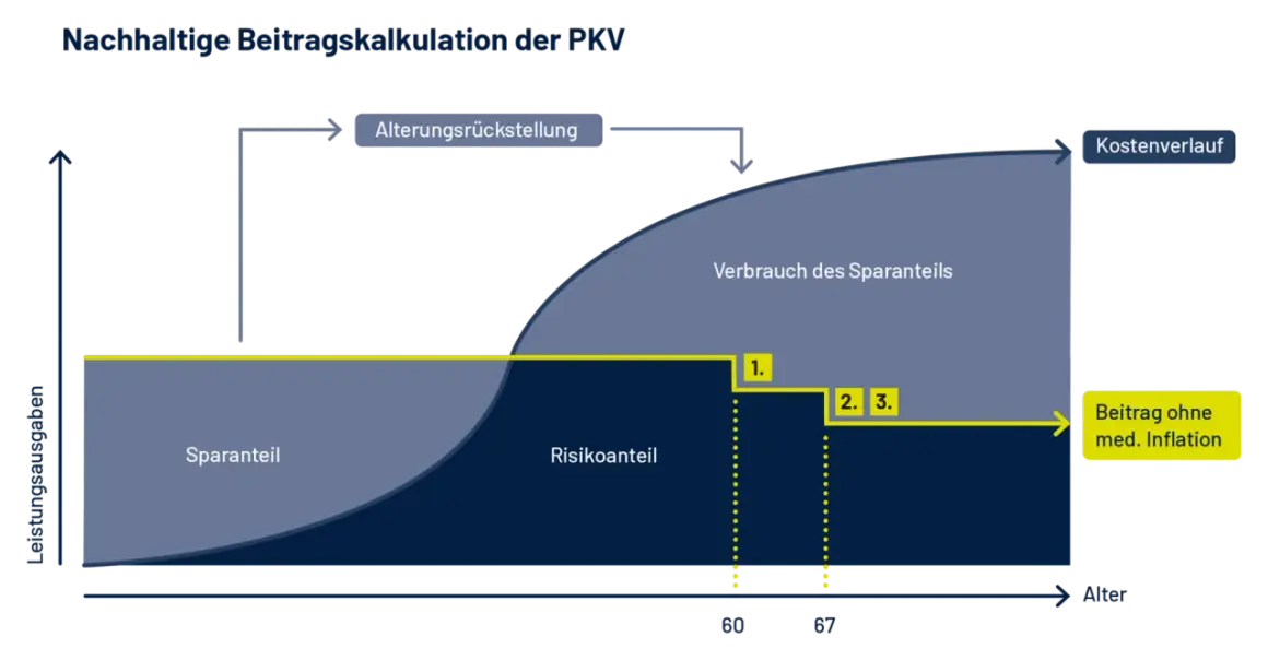 Grafik zeigt, wie sich die Kosten pkv mit dem Alter entwickeln. Ein Sparanteil deckt anfangs die Kosten, später der Risikoanteil.