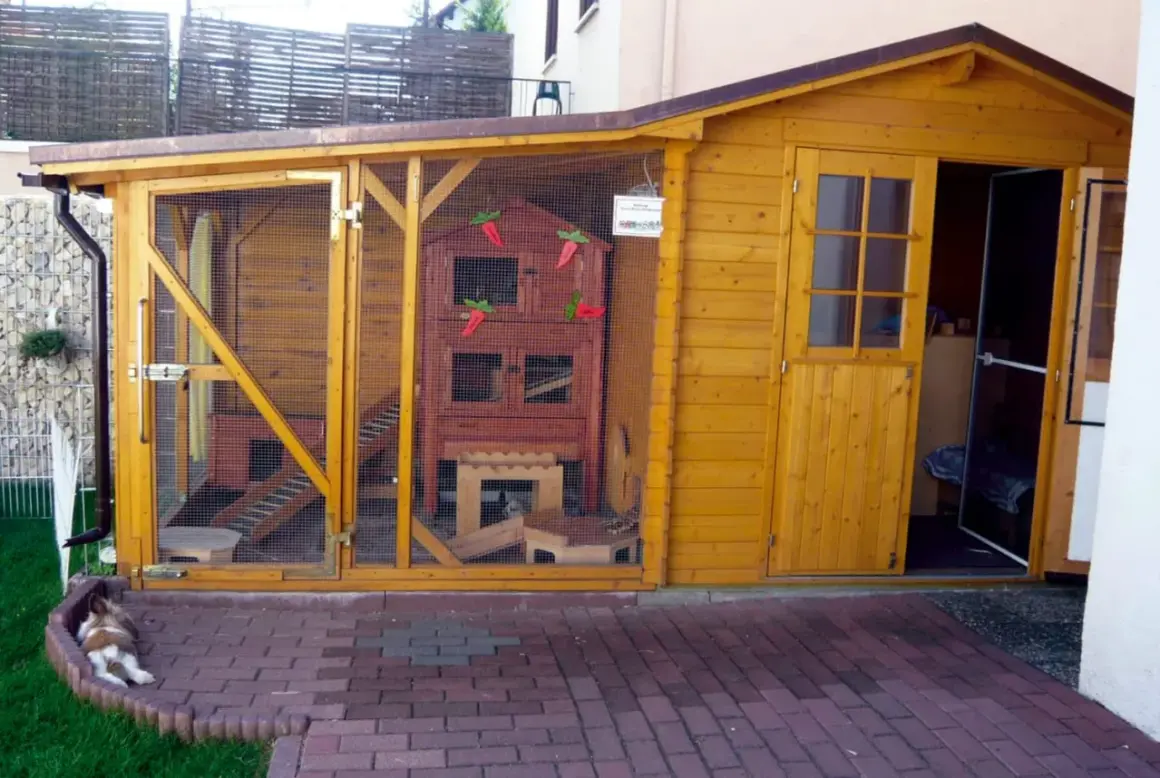 Ein liebevoll gestalteter kaninchen spielplatz selber bauen. Ein Kaninchen ruht sich vor dem Holzgehege aus.