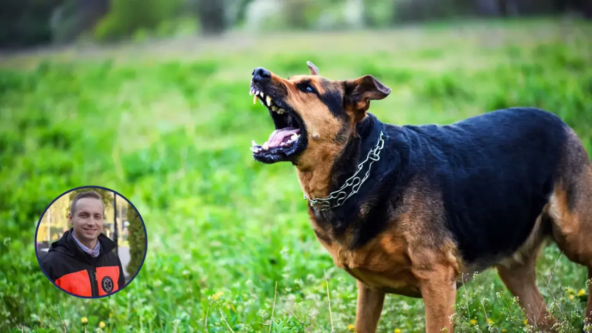 Agresywny pies z łańcuchem na szyi, groźnie warczy. W rogu zdjęcie ratownika medycznego, przypominające o tym, że nawet lekkie ugryzienie przez psa szczepionego wymaga uwagi.