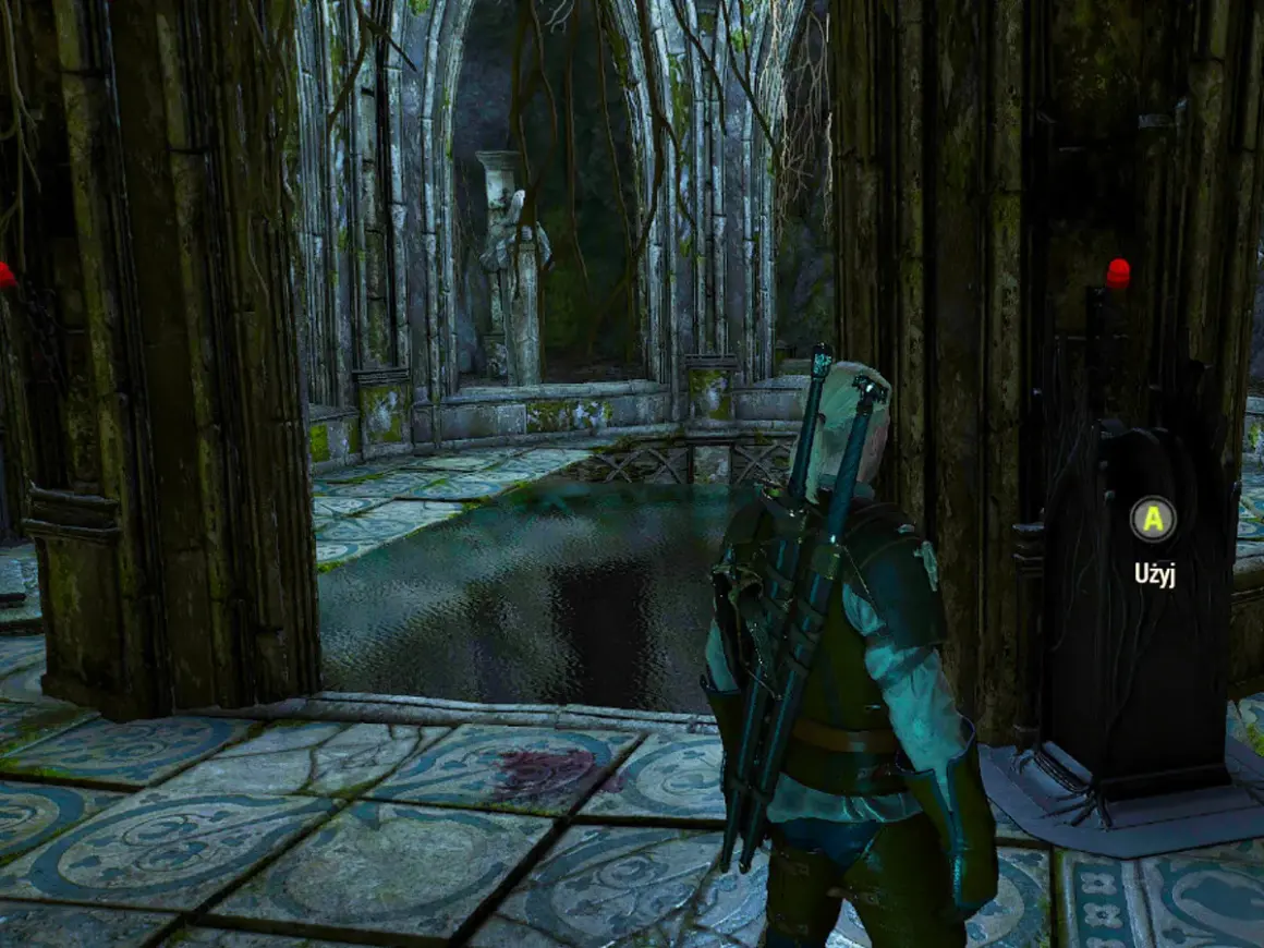 Geralt stoi przed tronem w zrujnowanej komnacie, rozwiązując zagadkę o dima. Woda zalewa podłogę, a roślinność oplata kamienne kolumny.