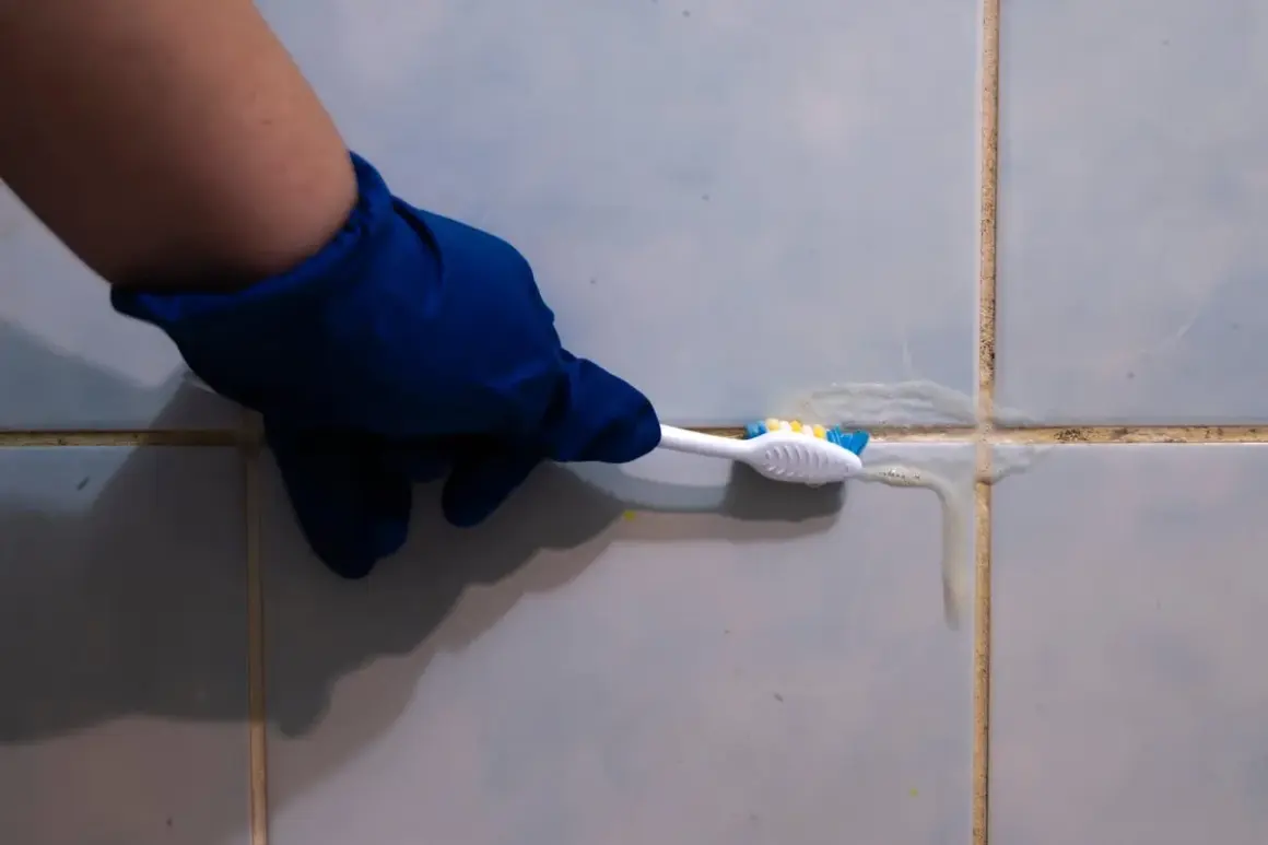 Main bleue, brosse à dents et produit nettoyant pour lutter contre la moisissure joint salle de bain.