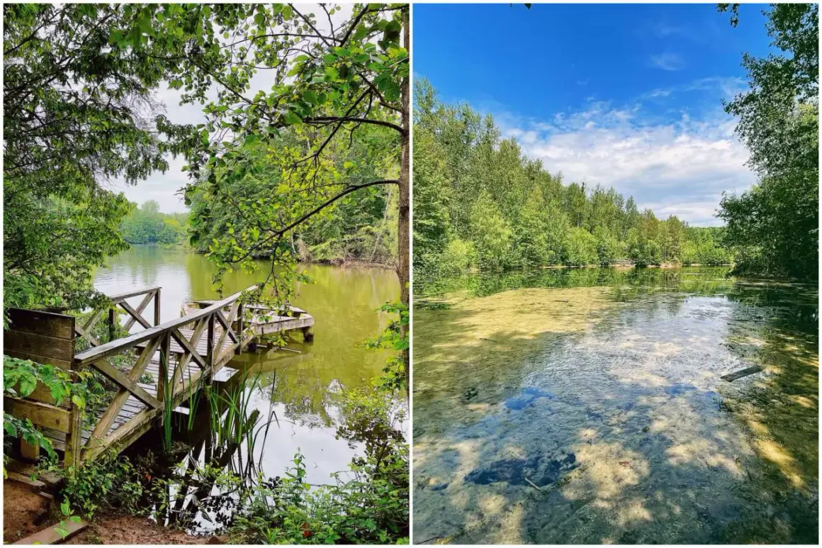 Holzsteg am Ufer der Grube Cox, umgeben von üppigem Grün. Das Wasser ist klar und spiegelt den blauen Himmel.