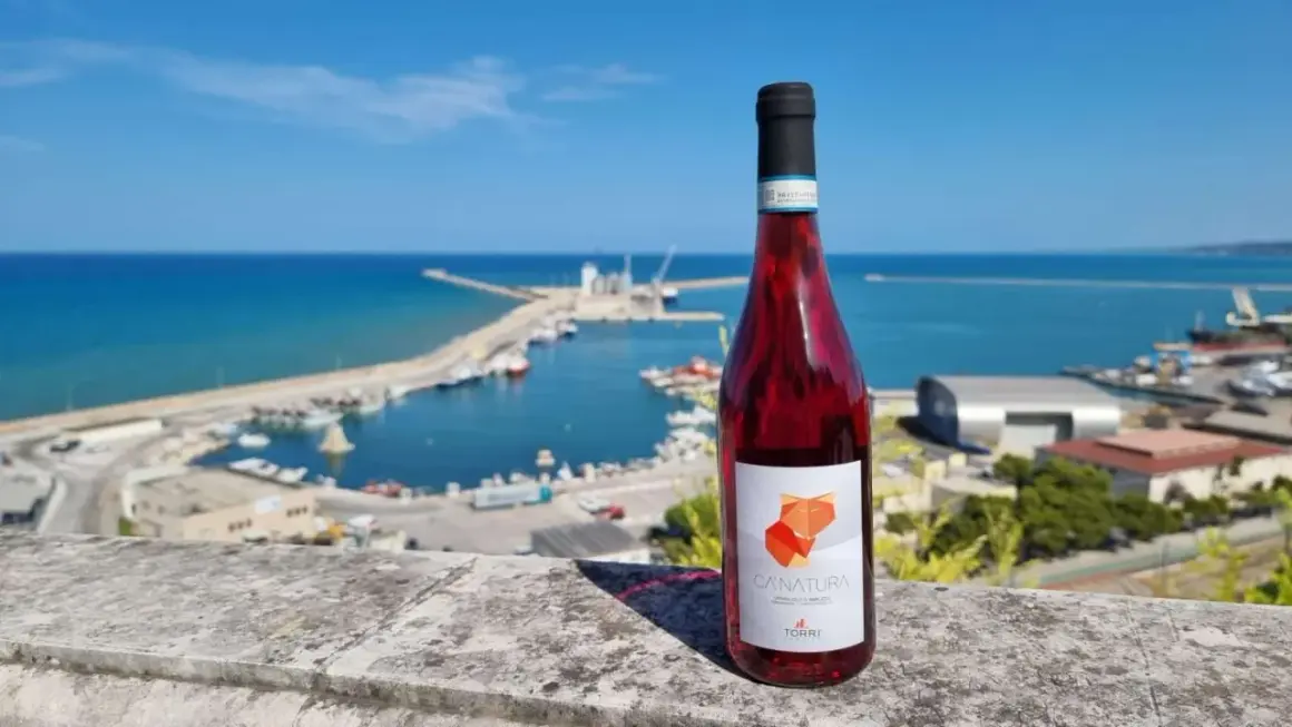 Bottiglia di Cerasuolo d'Abruzzo con etichetta "Canatura" su sfondo di un porto con mare blu e cielo limpido.
