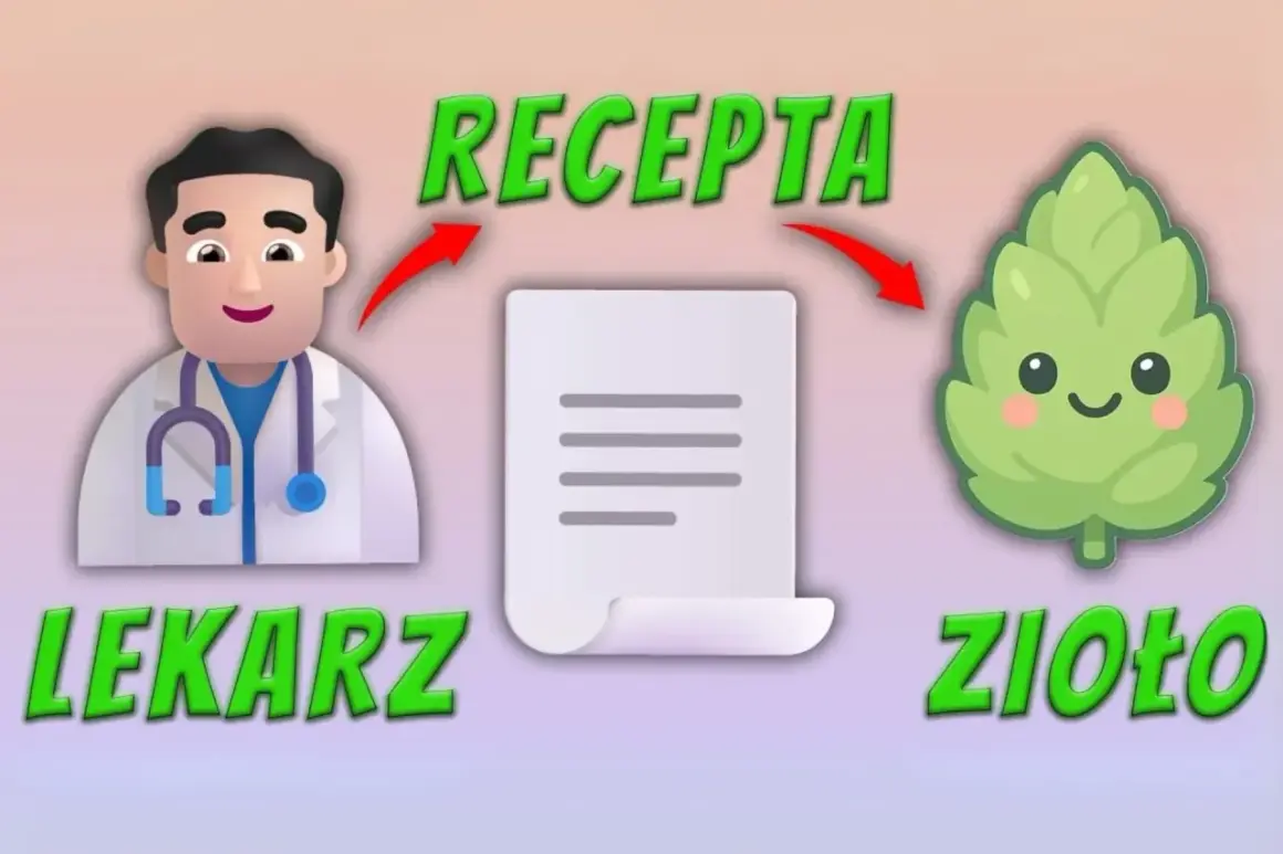 Gdzie po medyczną marihuanę? Poradnik krok po kroku w Polsce