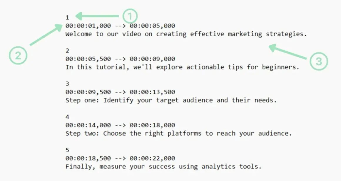 An SRT file displays timed text for videos. This example shows timestamps and dialogue for a marketing tutorial, covering audience identification, platform selection, and success measurement.