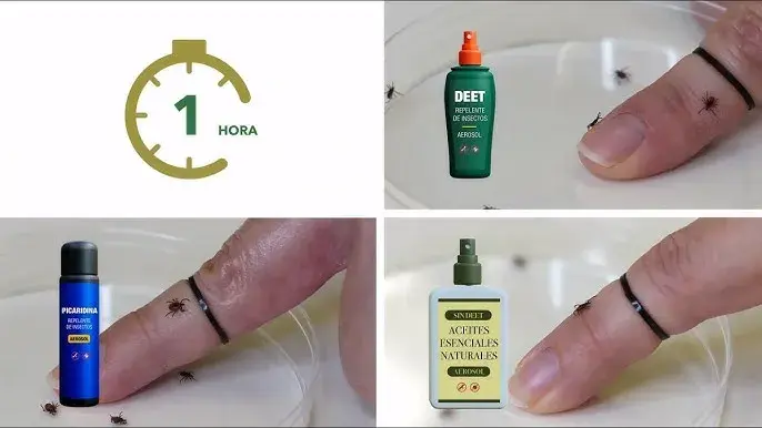 Con que fumigar garrapatas: métodos efectivos y productos seguros