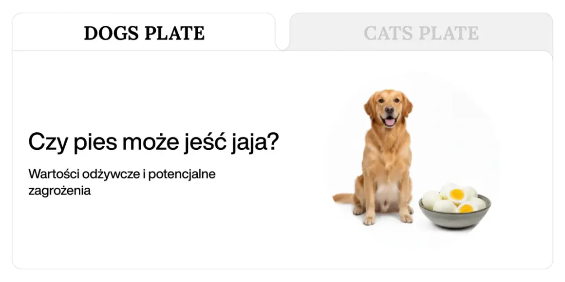 Złoty retriever siedzi obok miski z jajkami na twardo.