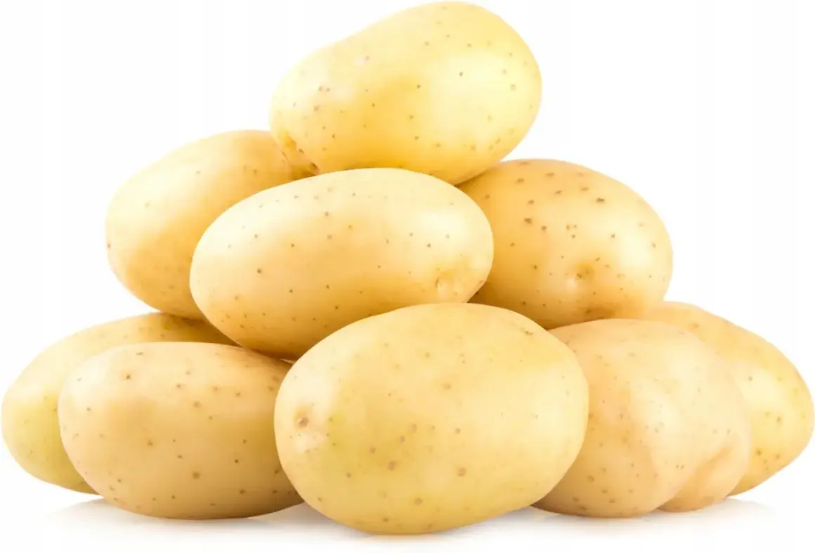 Stos świeżych ziemniaków Colombo, idealnych na frytki lub purée.