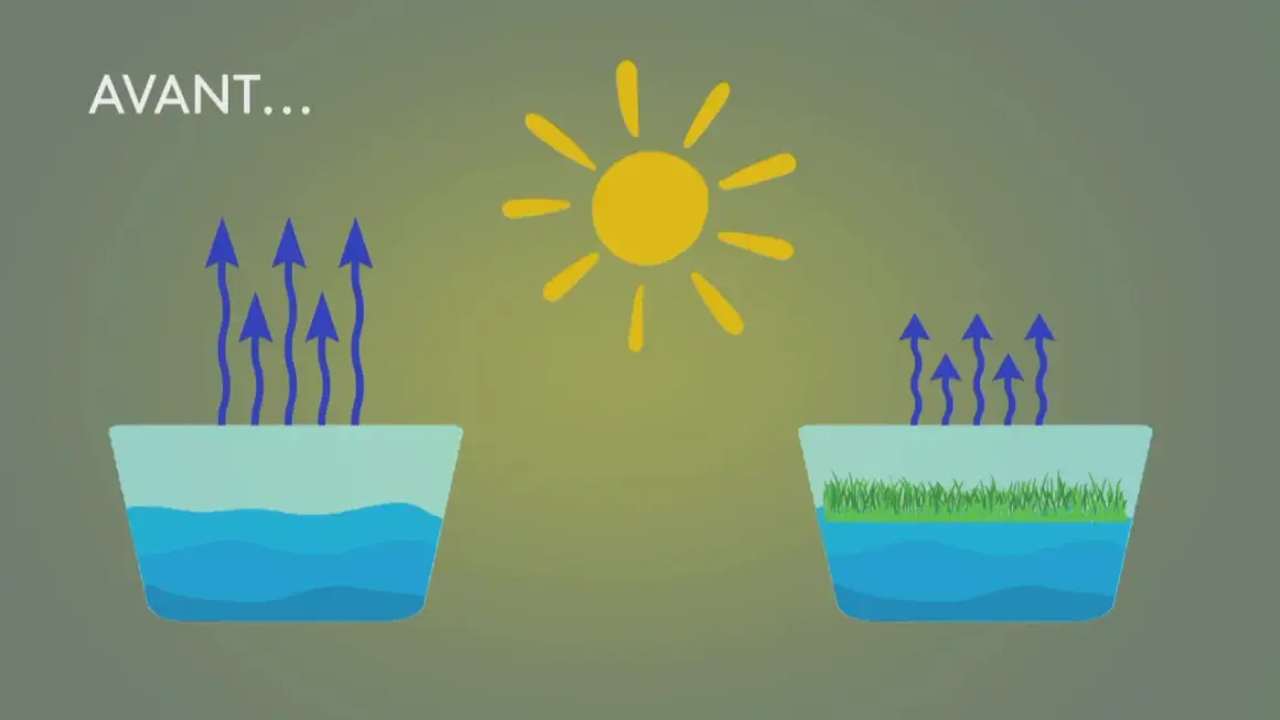 Le soleil stimule le calcul évaporation de l'eau dans deux récipients : l'un avec de l'eau pure, l'autre avec de l'herbe.
