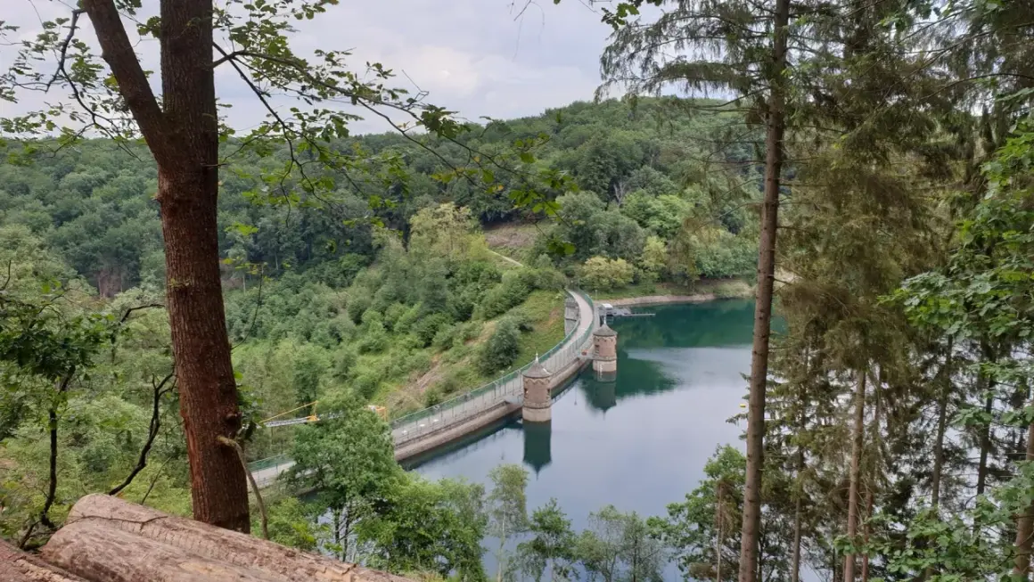 Die Talsperre Solingen, umgeben von üppigem Grün, staut das ruhige Wasser. Zwei Türme ragen aus dem See empor.