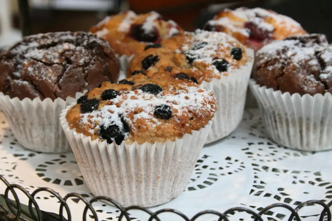 Muffins med blåbär och choklad, pudrade med florsocker. Perfekt för den som vill veta vad man kan använda istället för socker.