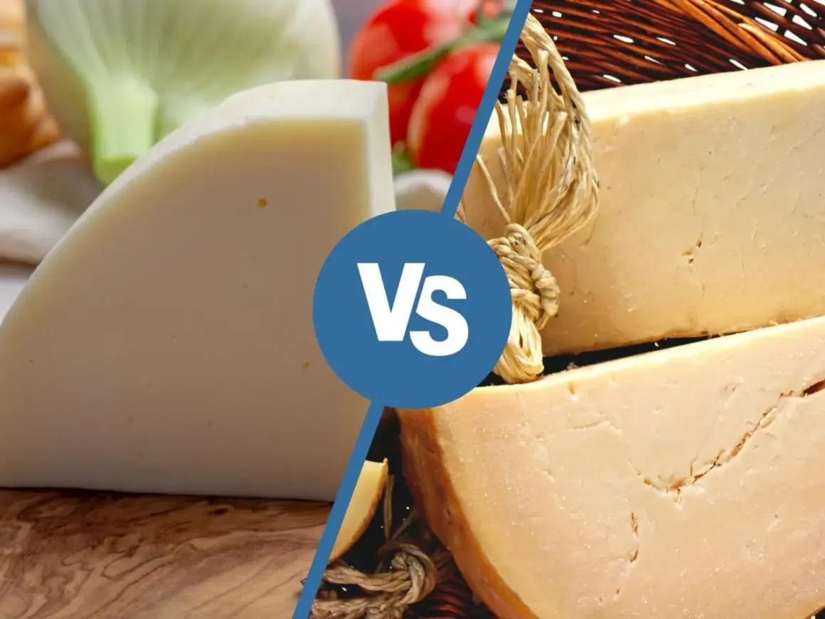 Due fette di formaggio, una chiara e una più scura, con la scritta "Vs" al centro. Forse una sfida tra il provolone e un altro formaggio.