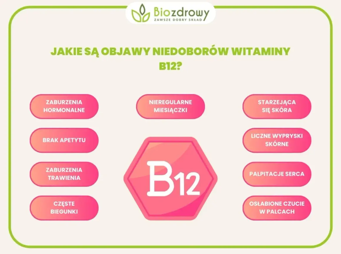 Witaj w świecie witaminy B12! Dowiedz się, na co pomaga i jakie są objawy jej niedoboru: zaburzenia hormonalne, brak apetytu, problemy z trawieniem, biegunki, nieregularne miesiączki, starzejąca się skóra, wysypki, palpitacje serca i osłabione czucie w...