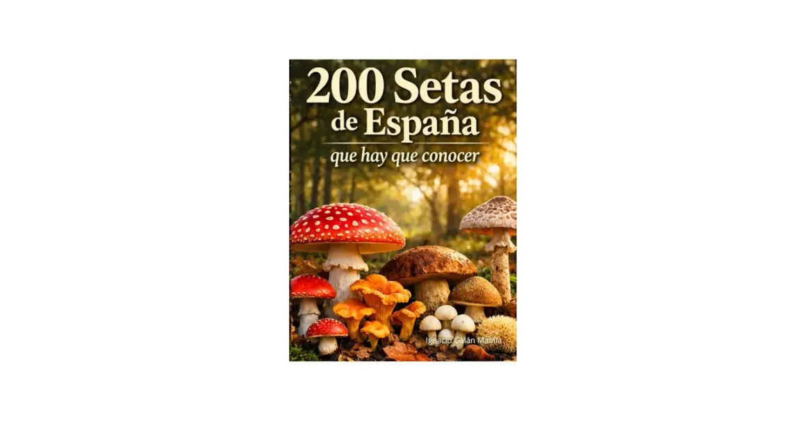 Un libro muestra la diversidad de **setas en España**, con imágenes de varias especies, incluyendo la seta de fly agaric y otras setas comestibles y venenosas.