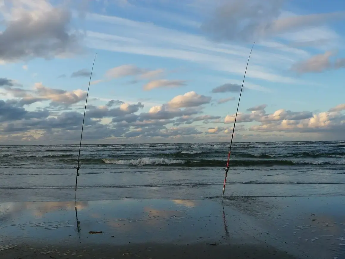 Dwie wędki stoją na plaży, czekając na moment, kiedy bierze szczupak. Morze faluje pod błękitnym niebem z chmurami.