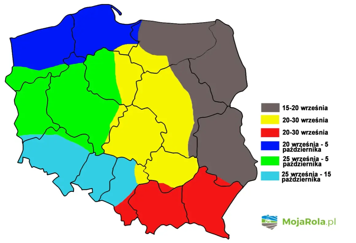 Mapa Polski z terminem siewu pszenicy ozimej. Różne kolory oznaczają optymalne daty od 15 września do 15 października.