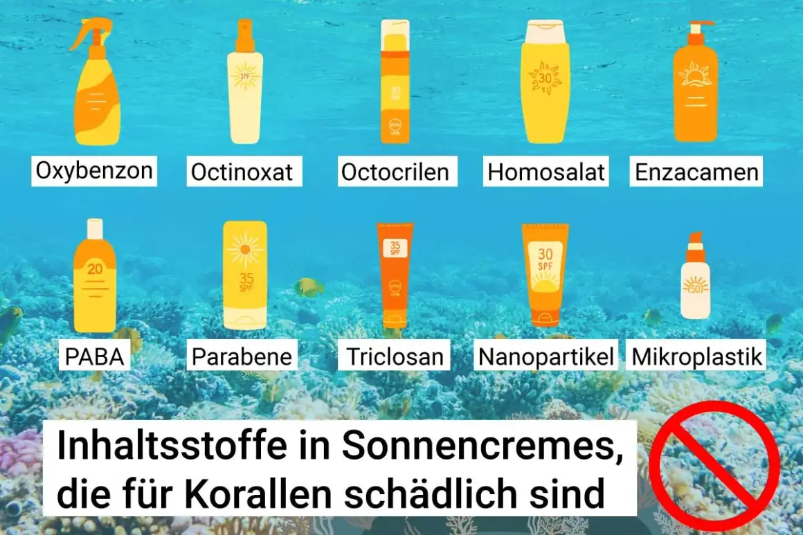 Schädliche Sonnencreme Inhaltsstoffe wie Oxybenzon, Octinoxat und Nanopartikel bedrohen Korallenriffe. Informiere dich über Alternativen.