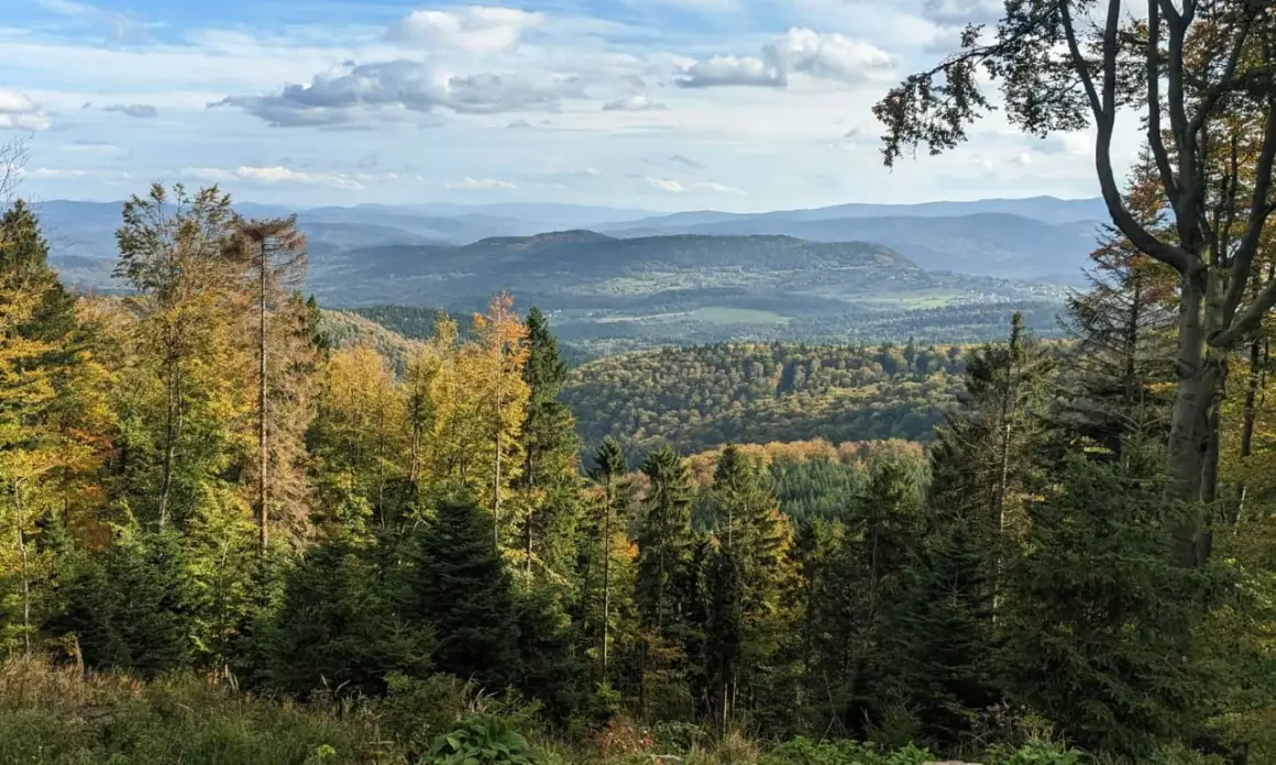 Leskowiec - najlepsze szlaki i wejście do schroniska